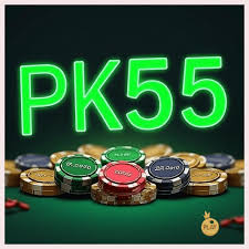 Registro no pk55 com