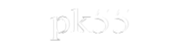 pk55 com-logo